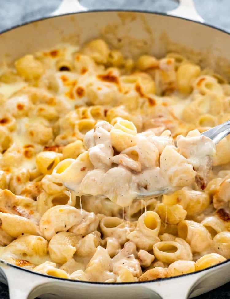 chicken alfredo pasta bake fresh out of the oven with a serving spoon inside.