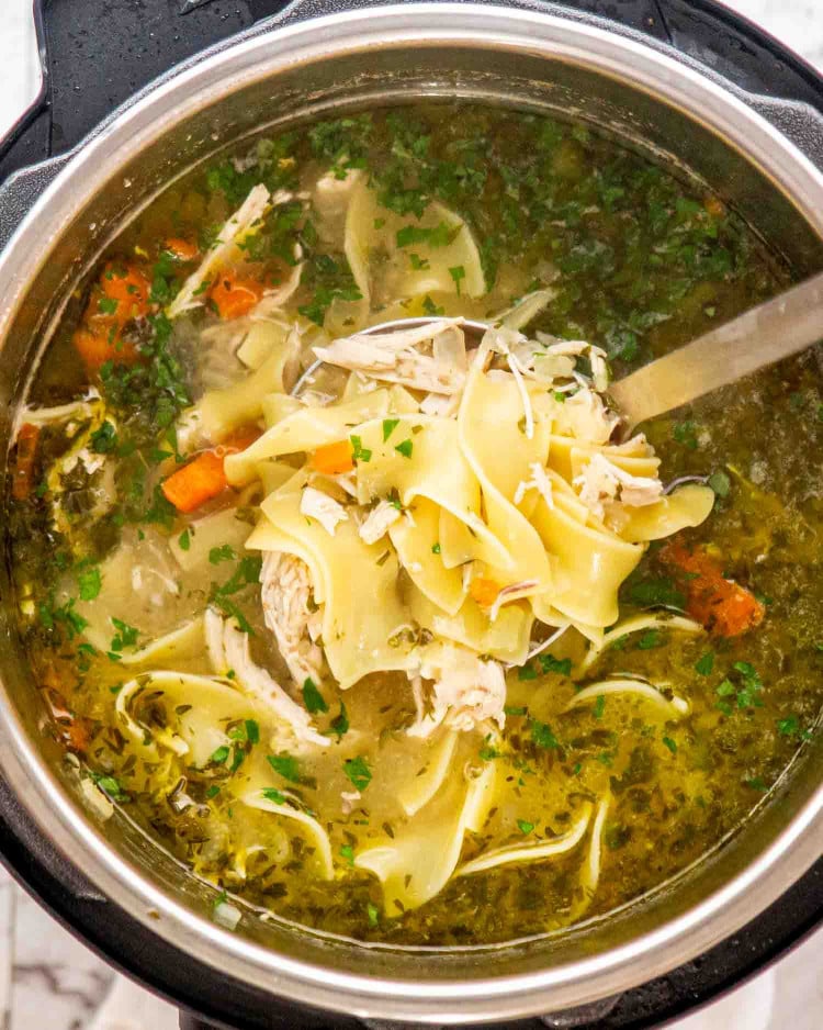 instant pot chicken noodle soup