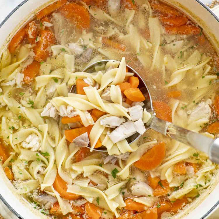 freshly made turkey noodle soup in a dutch oven.