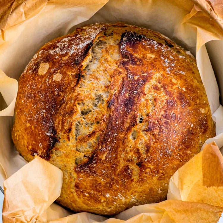 no knead whole wheat bread in a dutch oven fresh out of the oven.